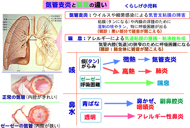 ゼーゼー 授乳